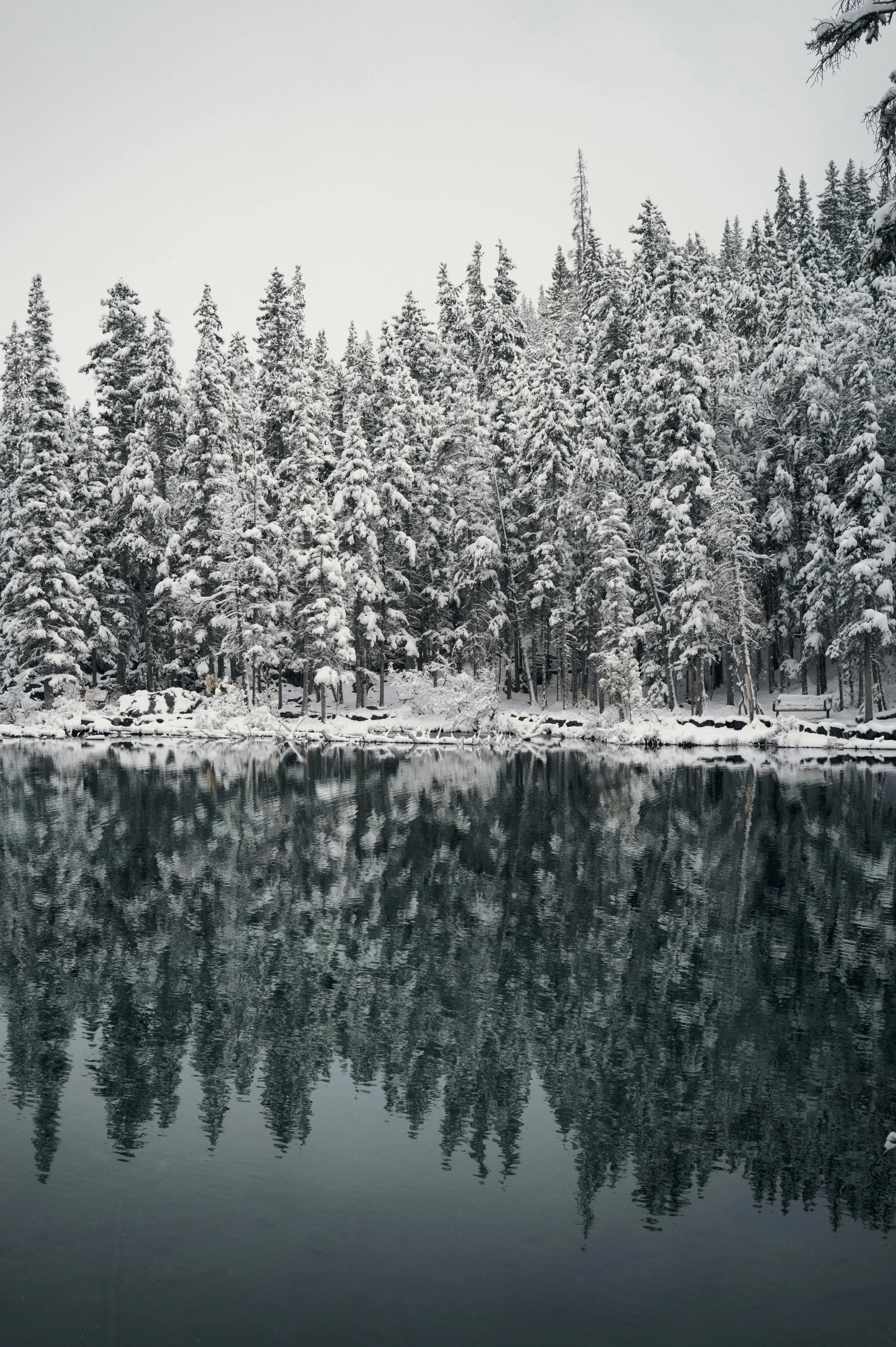 251012-15-53-44-LEICA Q3 43-T1021547-EDIT.jpg