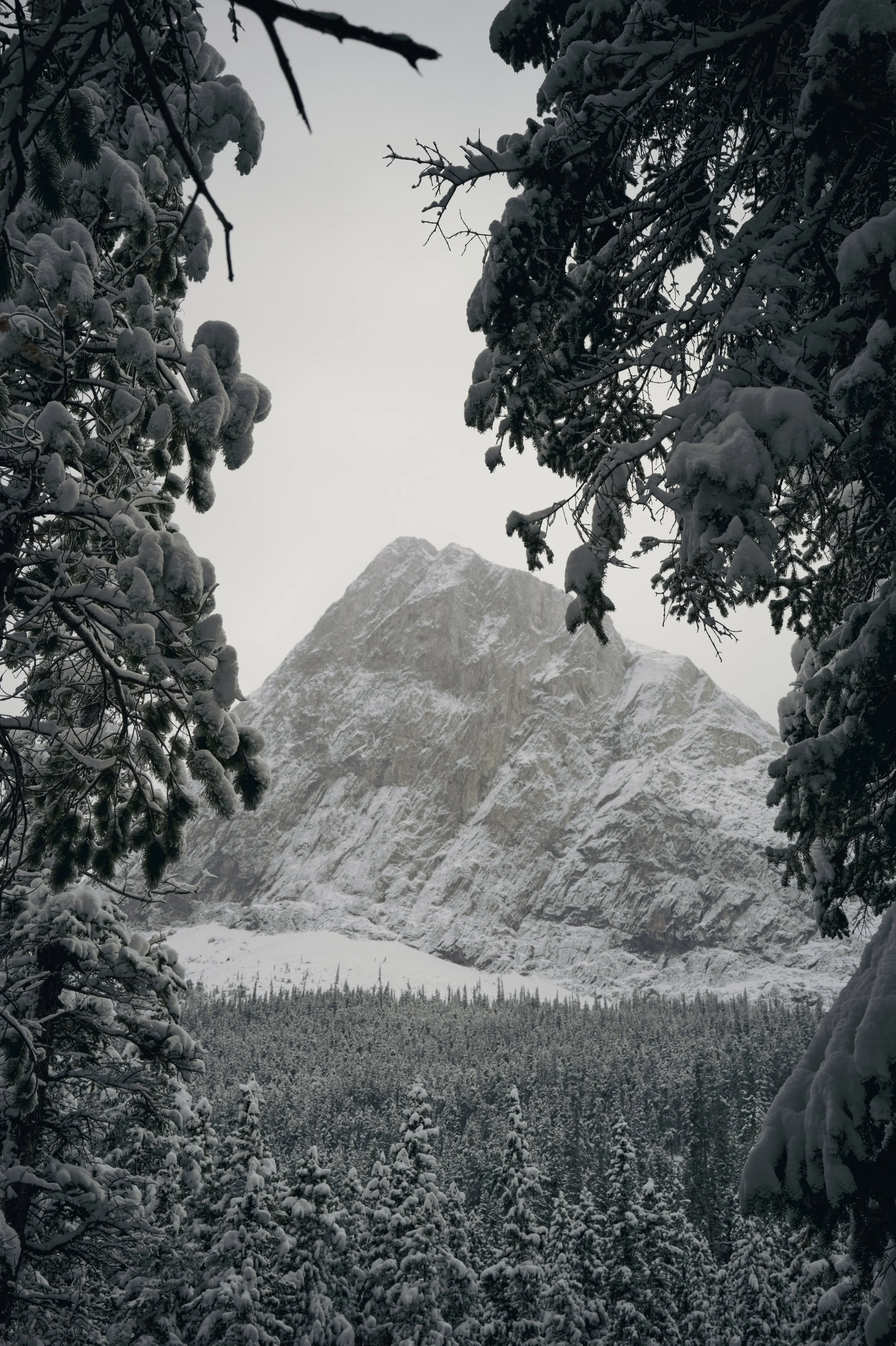 251012-16-14-53-LEICA Q3 43-T1021567-EDIT.jpg