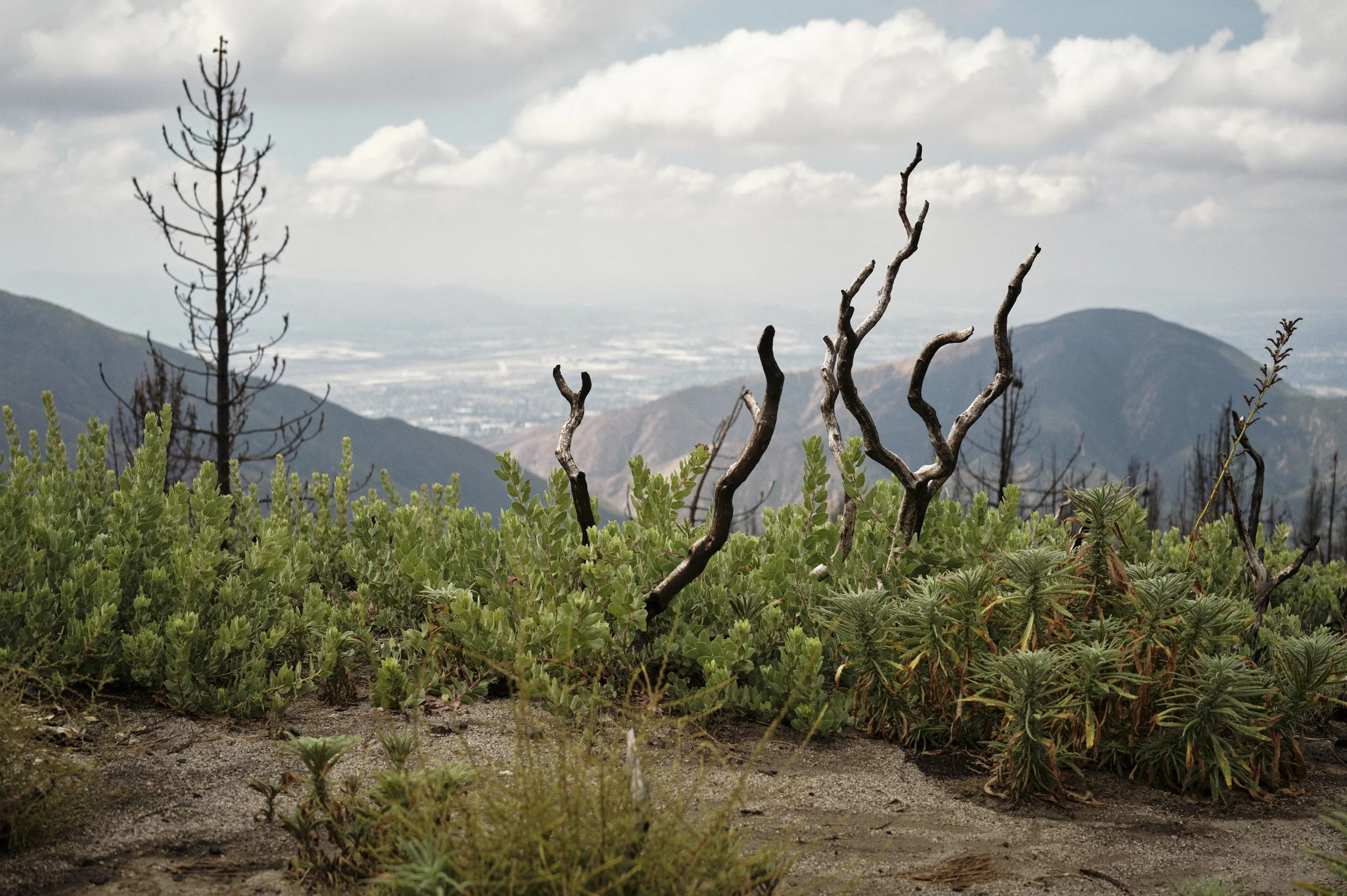 250919-14-41-51-LEICA Q3 43-T1020427-EDIT.jpg