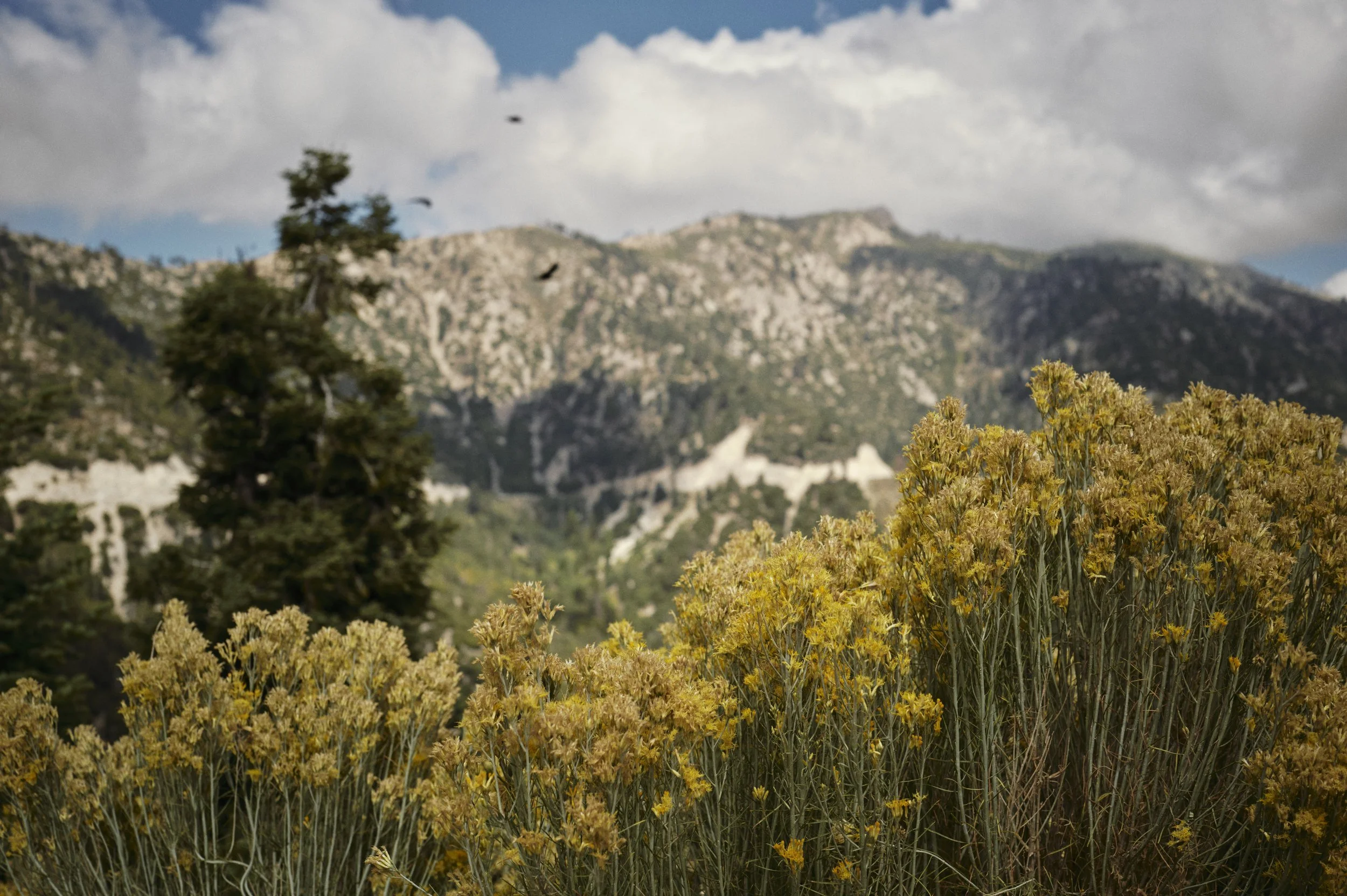 250919-16-40-31-LEICA Q3 43-T1020534-EDIT.jpg