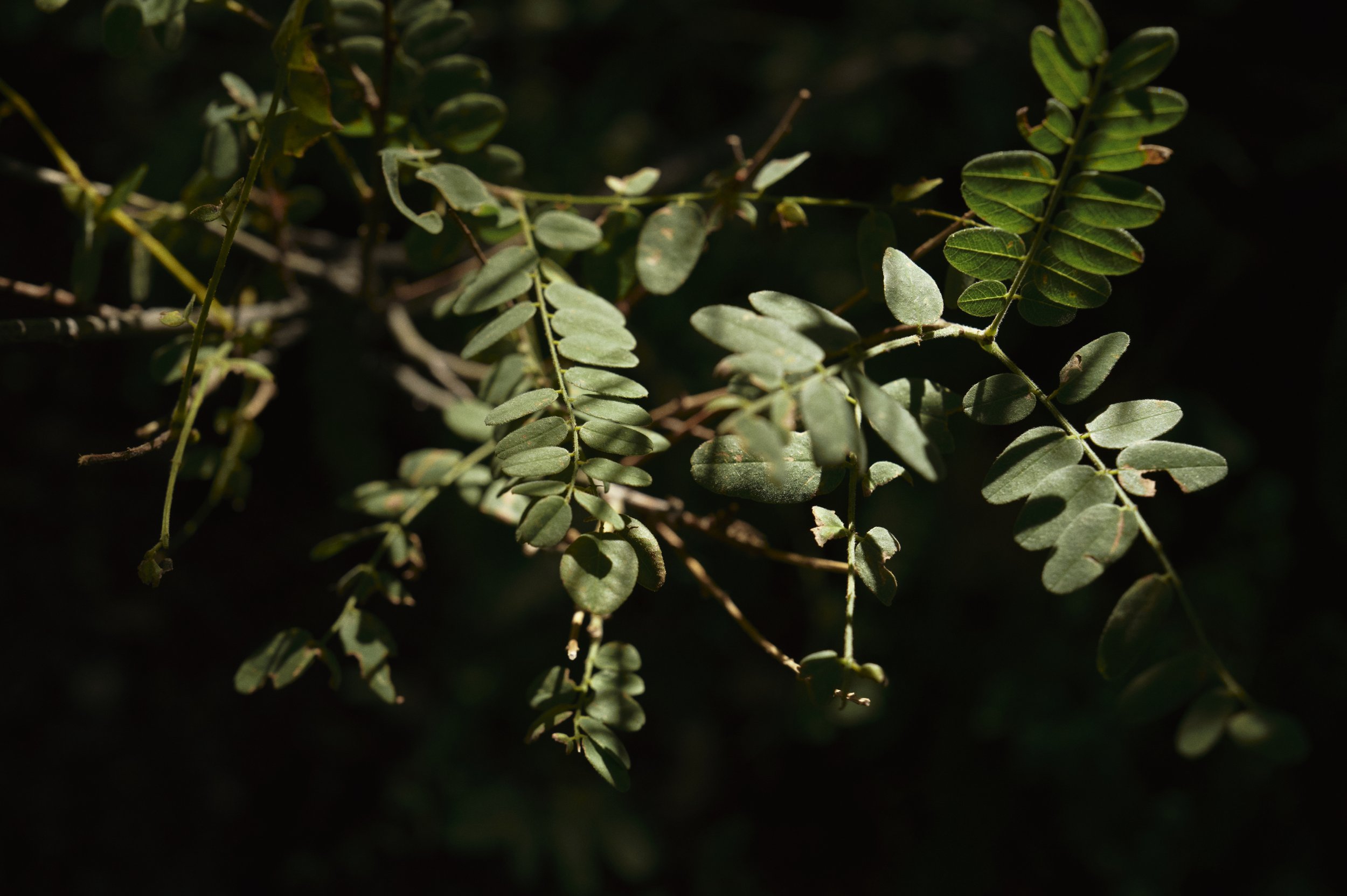 250919-19-14-28-LEICA Q3 43-T1020576-EDIT.jpg