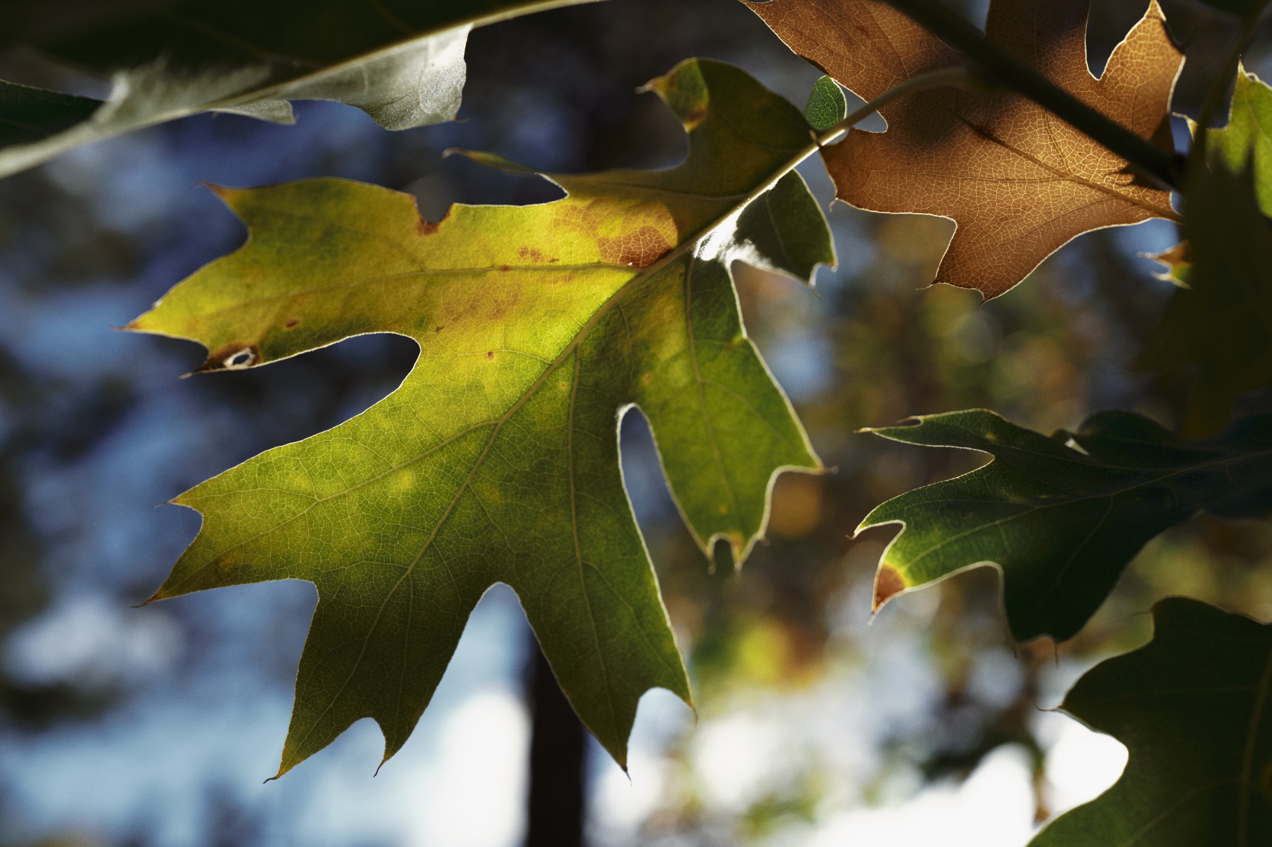 250919-19-49-50-LEICA Q3 43-T1020637-EDIT.jpg