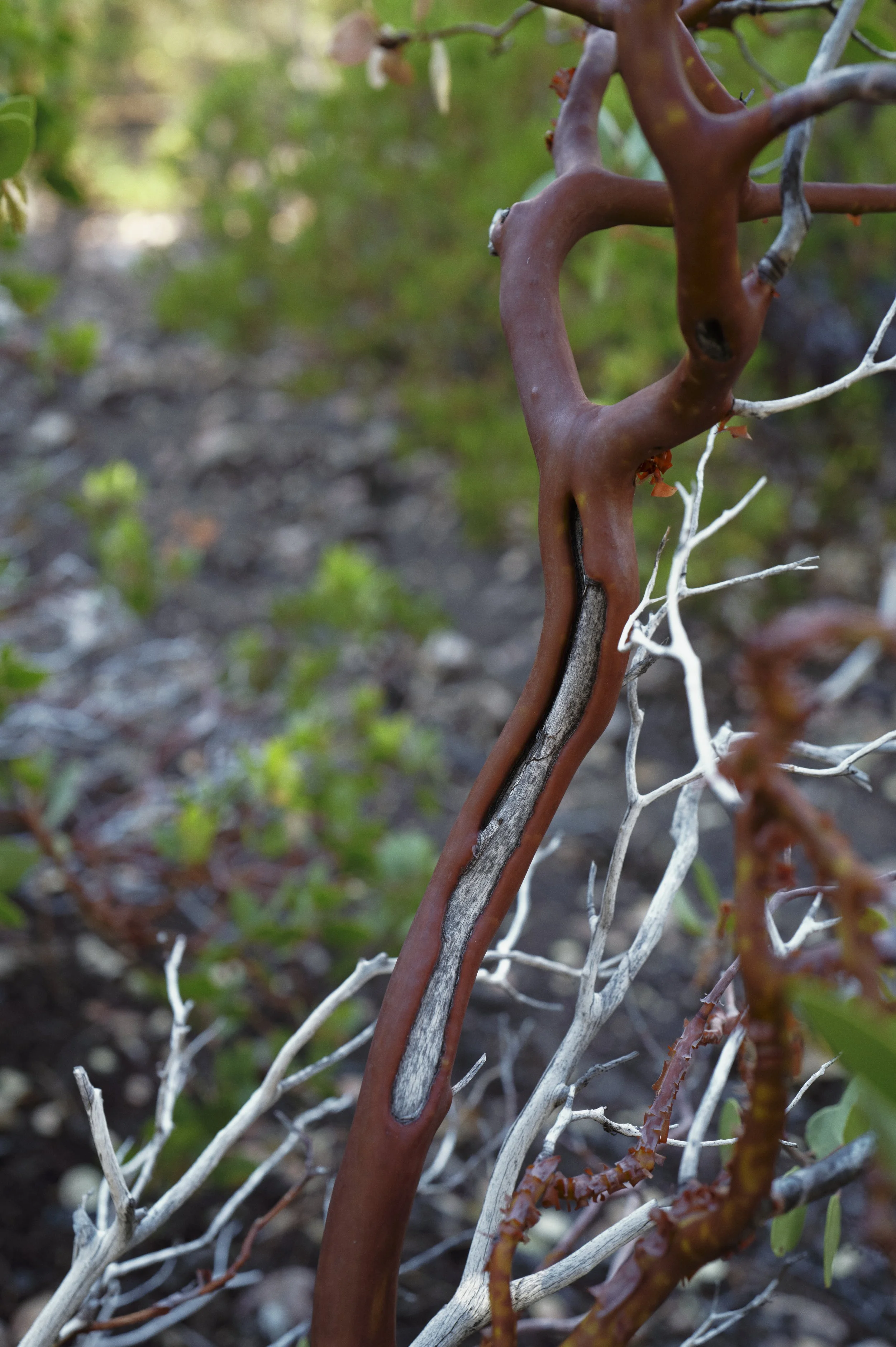 250919-20-02-34-LEICA Q3 43-T1020646-EDIT.jpg