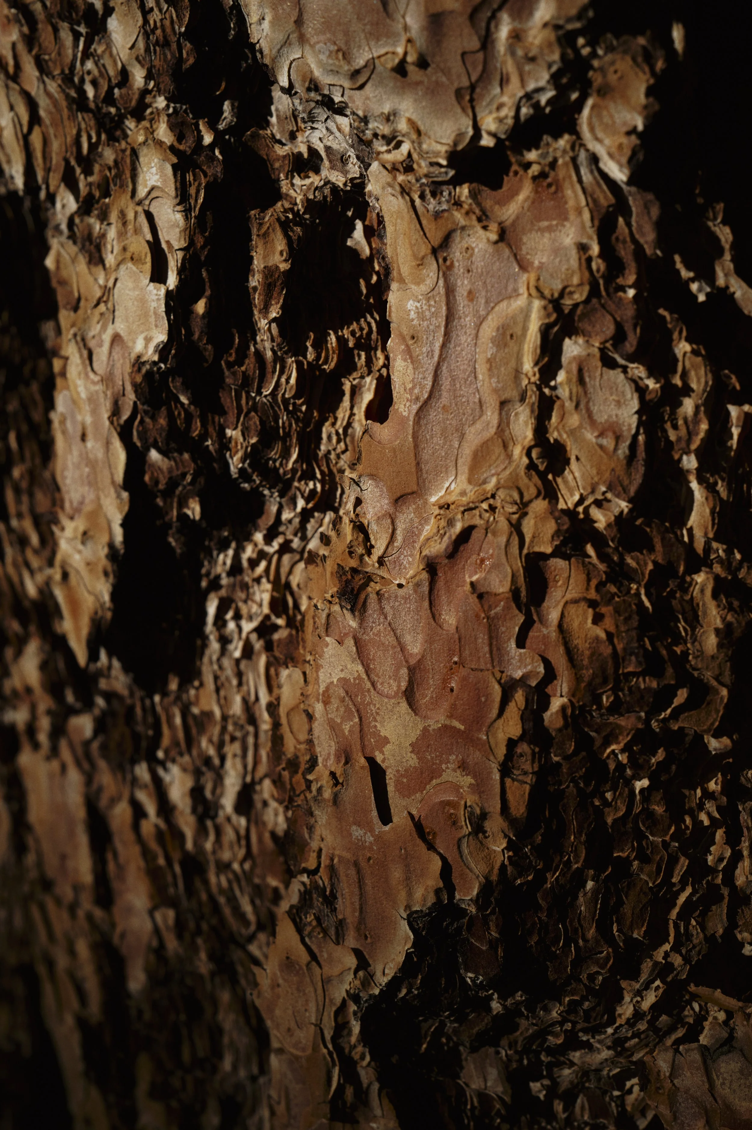 250919-20-04-28-LEICA Q3 43-T1020655-EDIT.jpg