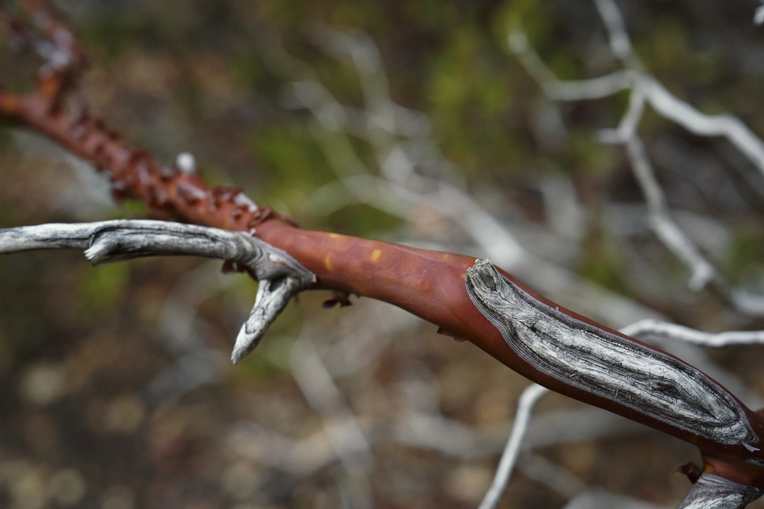 250919-20-10-25-LEICA Q3 43-T1020675-EDIT.jpg