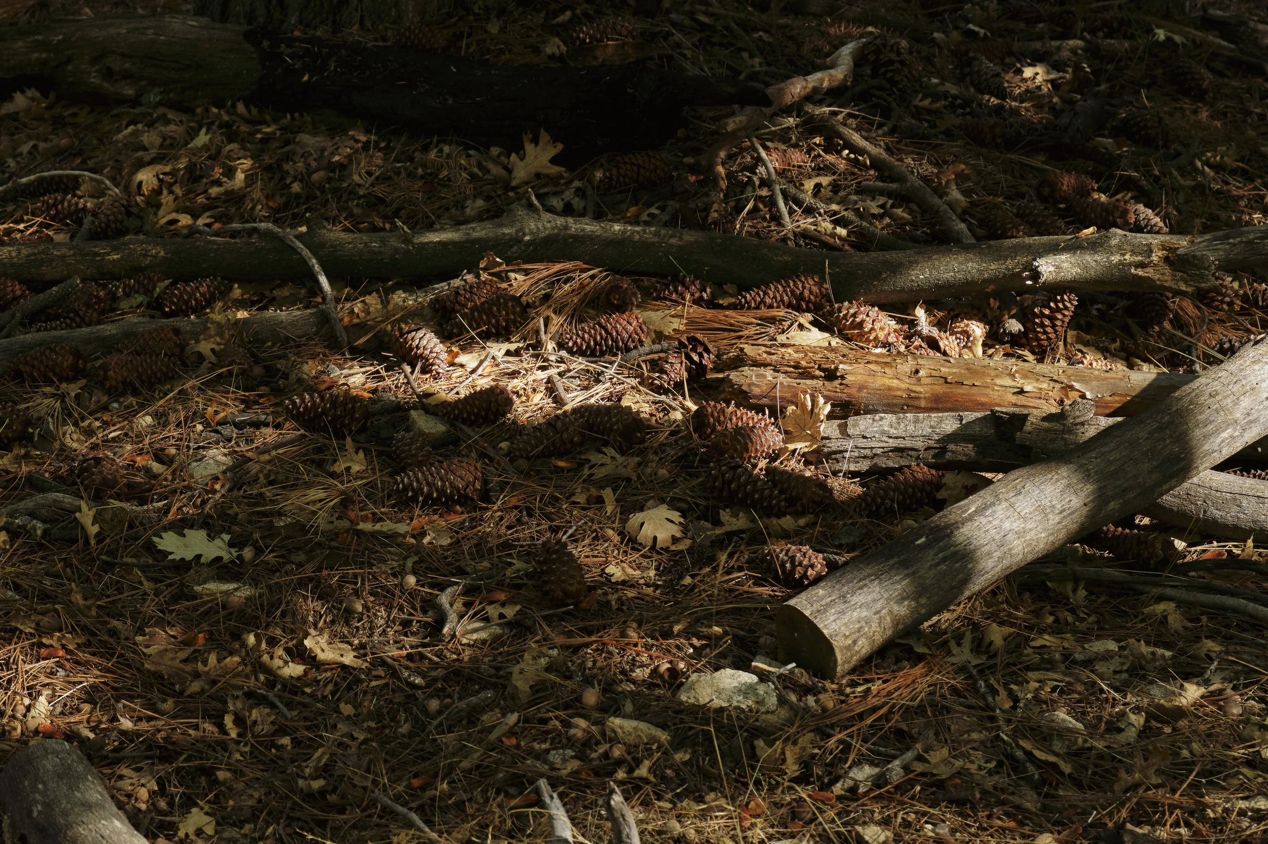 250920-13-58-31-LEICA Q3 43-T1020712-EDIT.jpg