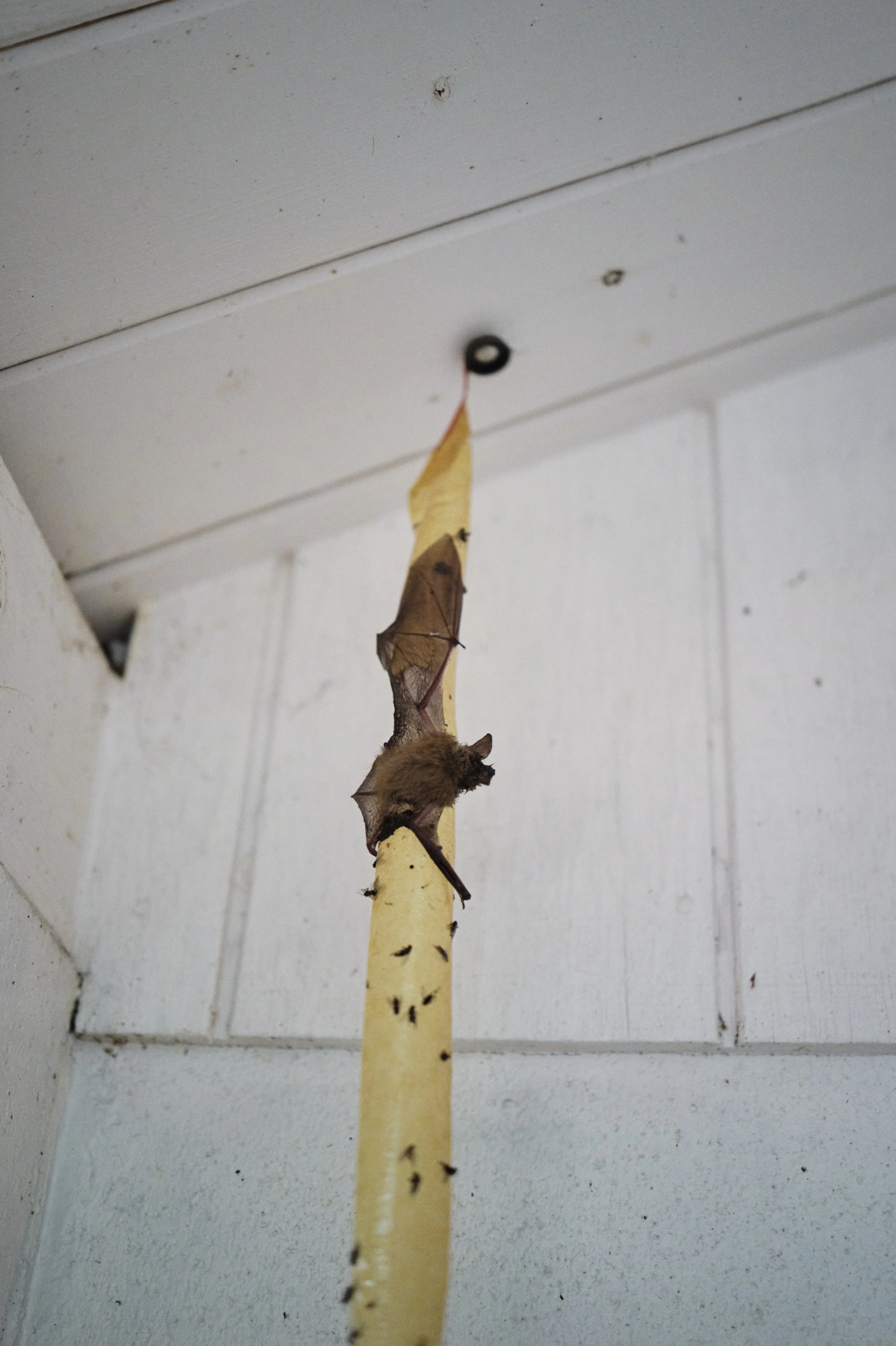 250920-14-13-20-LEICA Q3 43-T1020726-EDIT.jpg