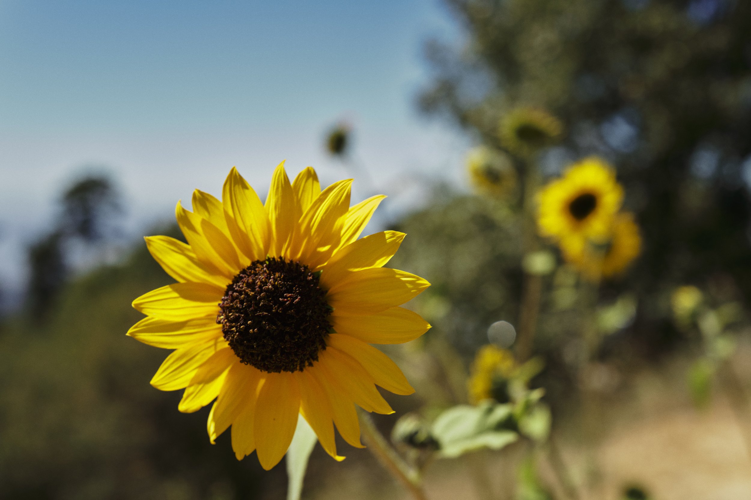 250920-14-35-20-LEICA Q3 43-T1020735-EDIT.jpg