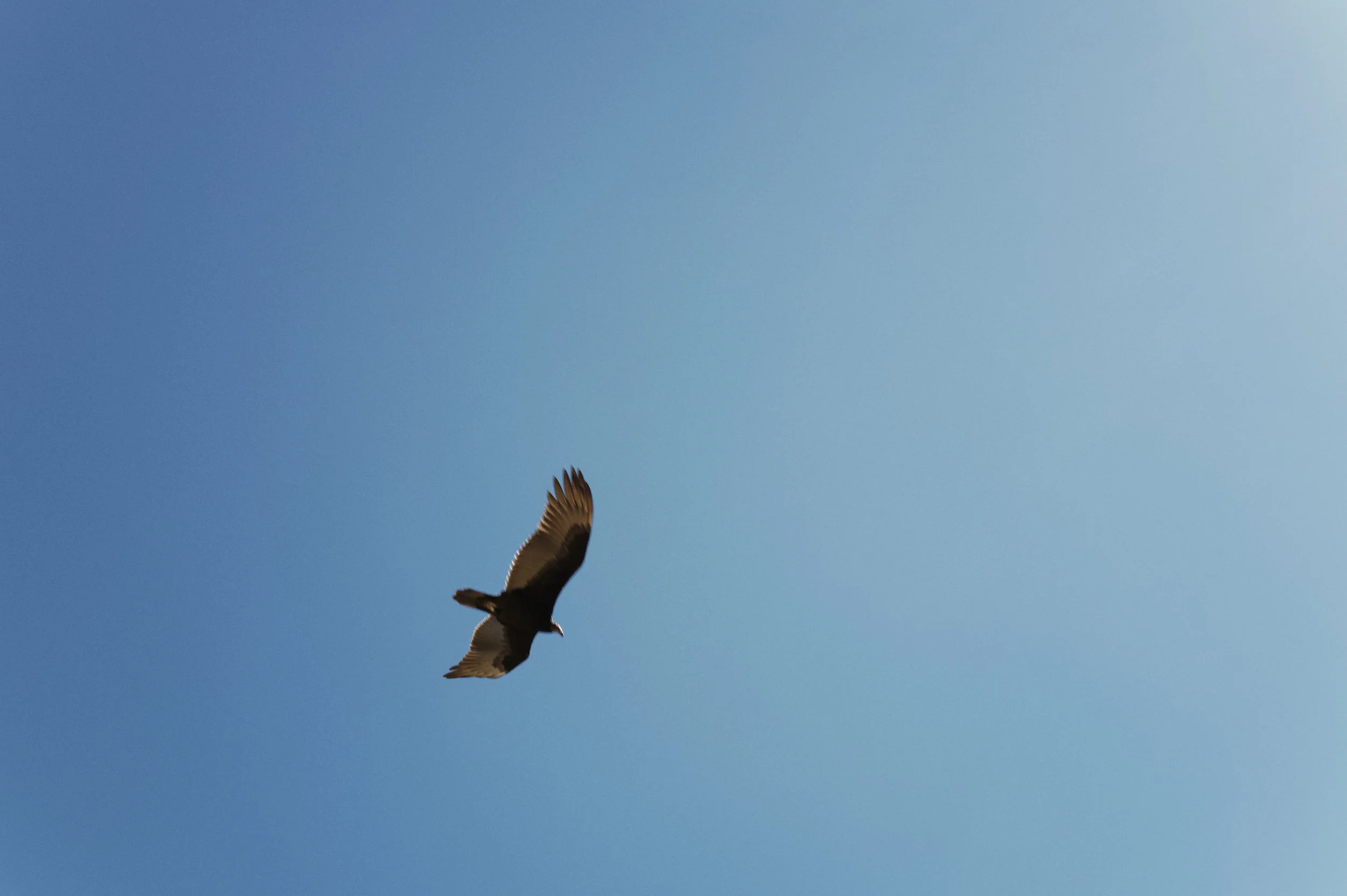 250920-17-18-43-LEICA Q3 43-T1020804-EDIT.jpg