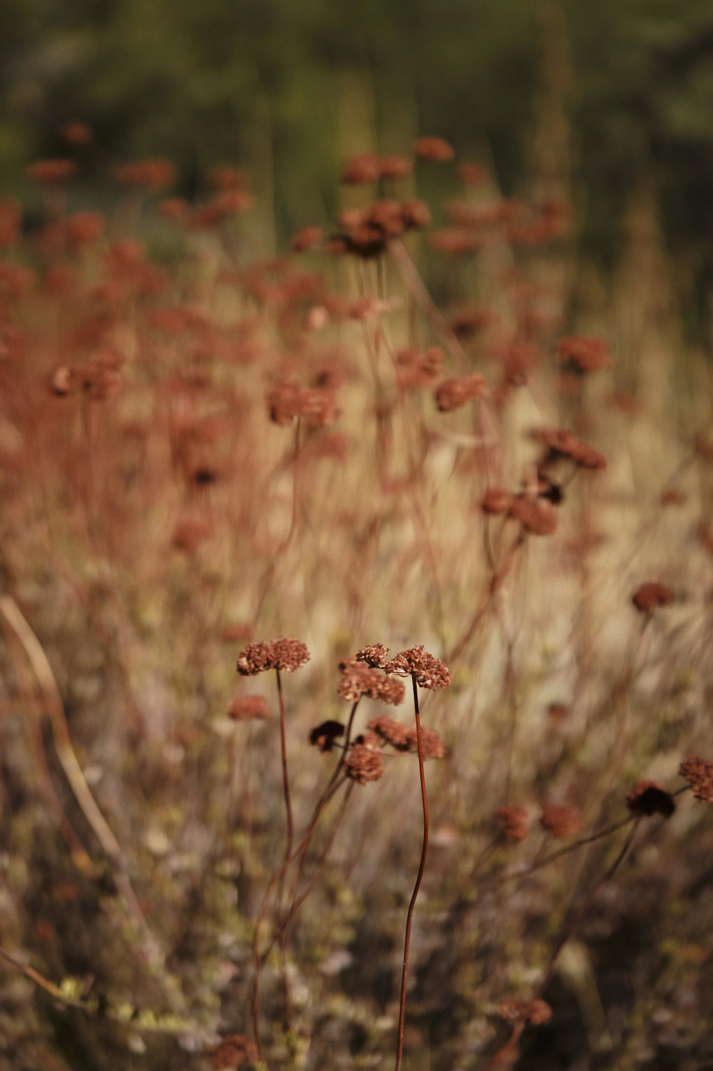 250920-17-36-33-LEICA Q3 43-T1020819-EDIT.jpg