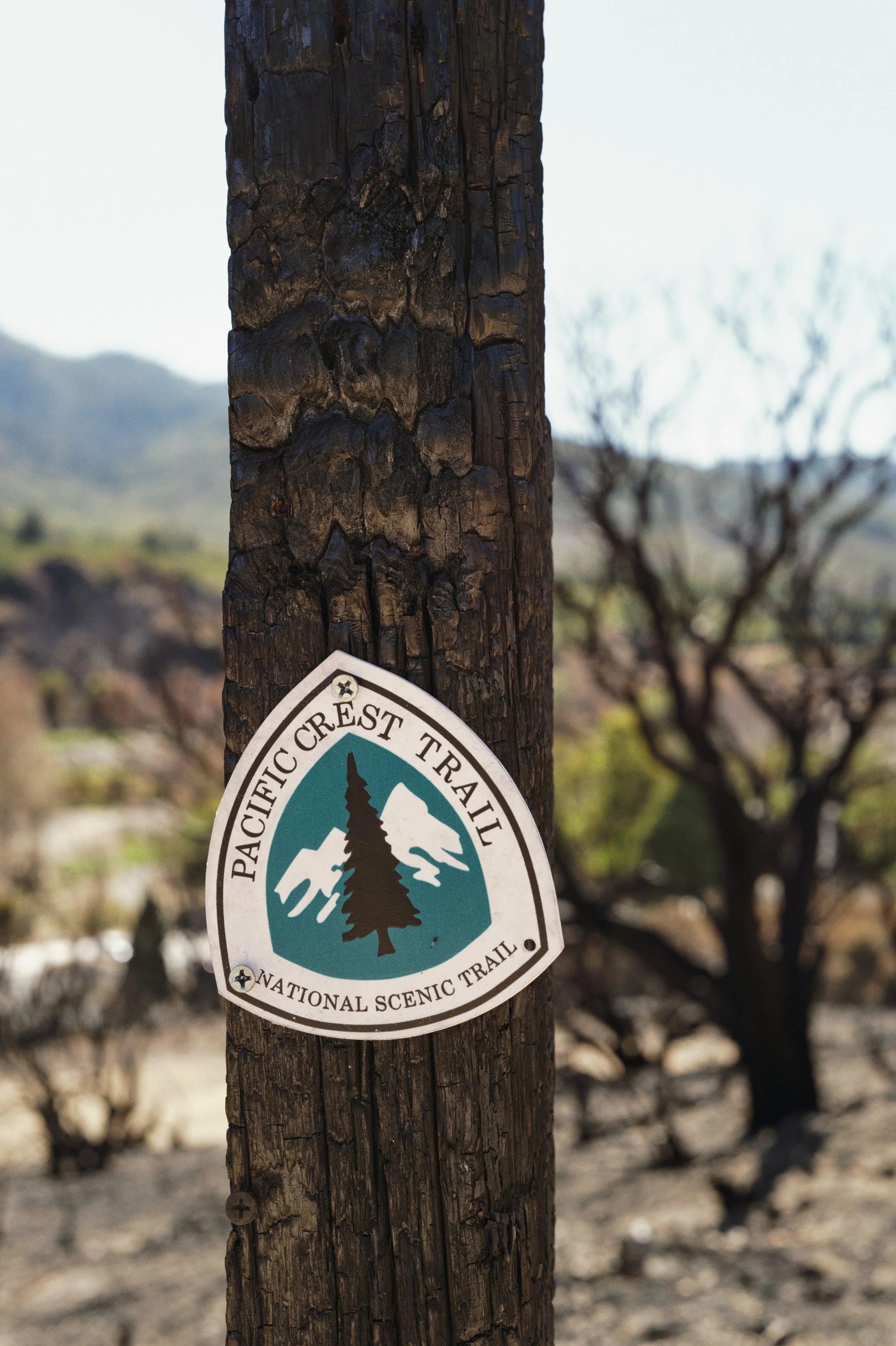 250920-17-55-16-LEICA Q3 43-T1020863-EDIT.jpg