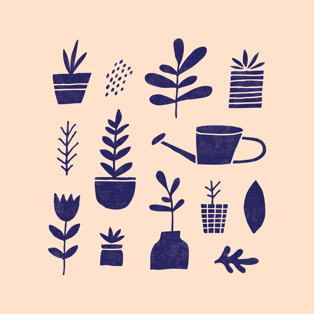 JenBPeters_Plant_01.jpg