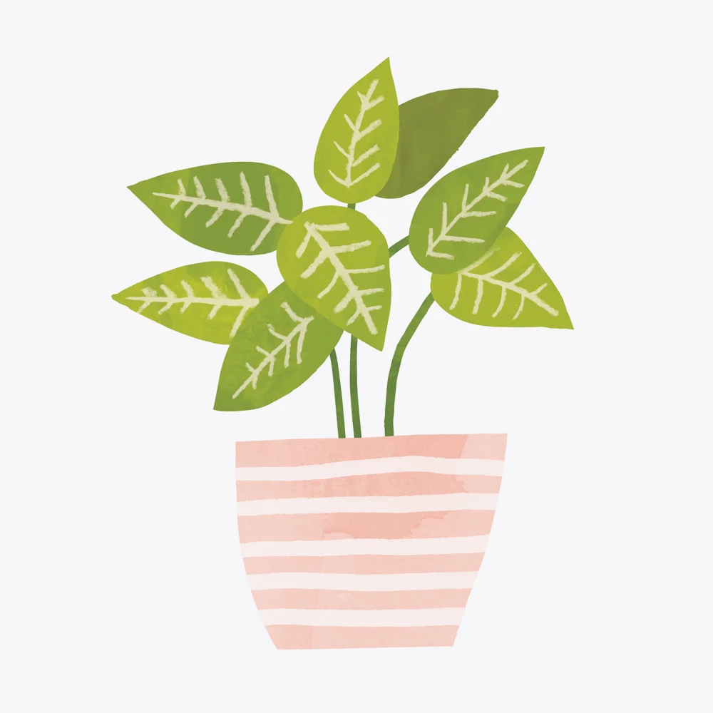 JenBPeters_Plant_02.jpg