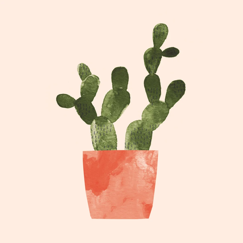 JenBPeters_Plant_06.jpg