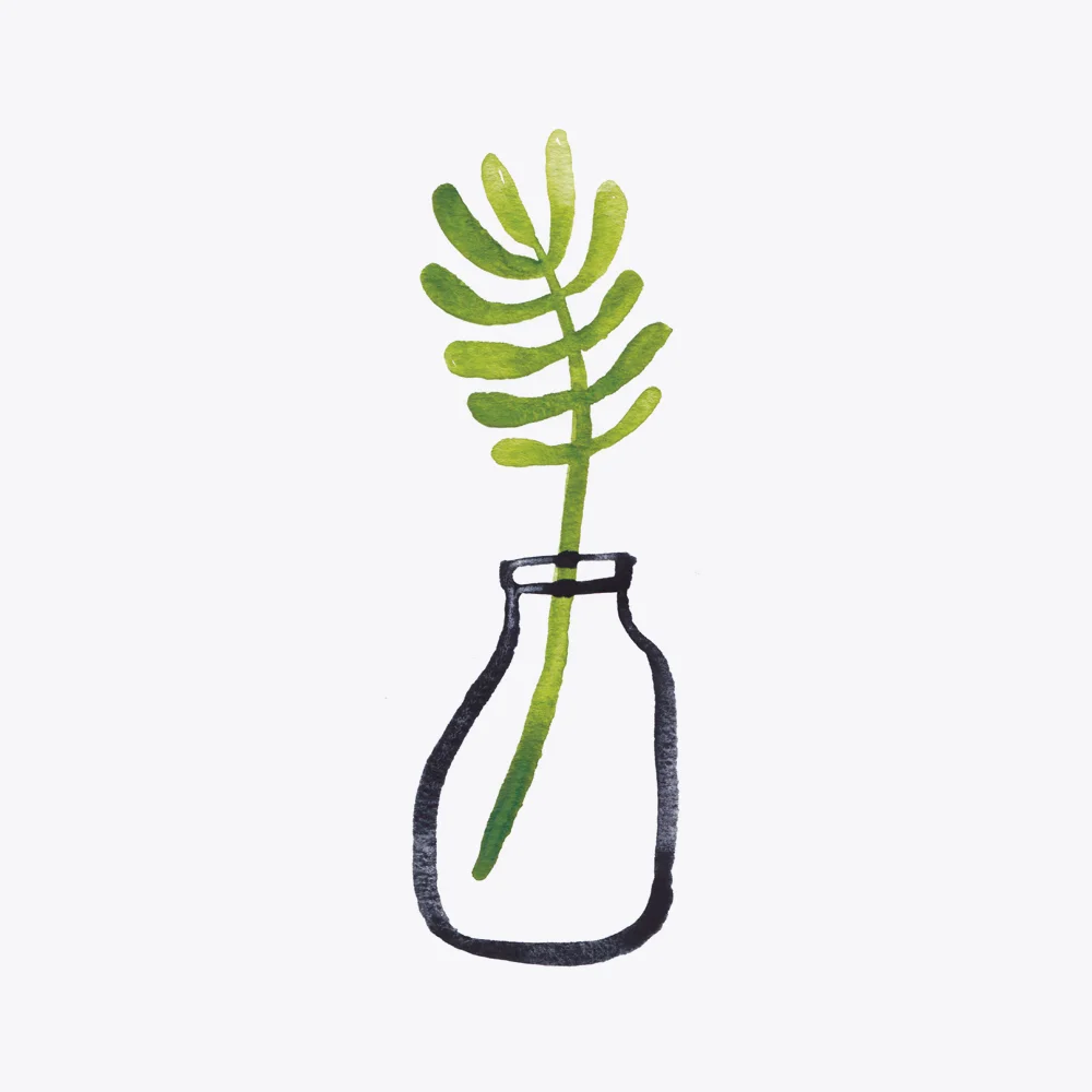 JenBPeters_Plant_11.jpg