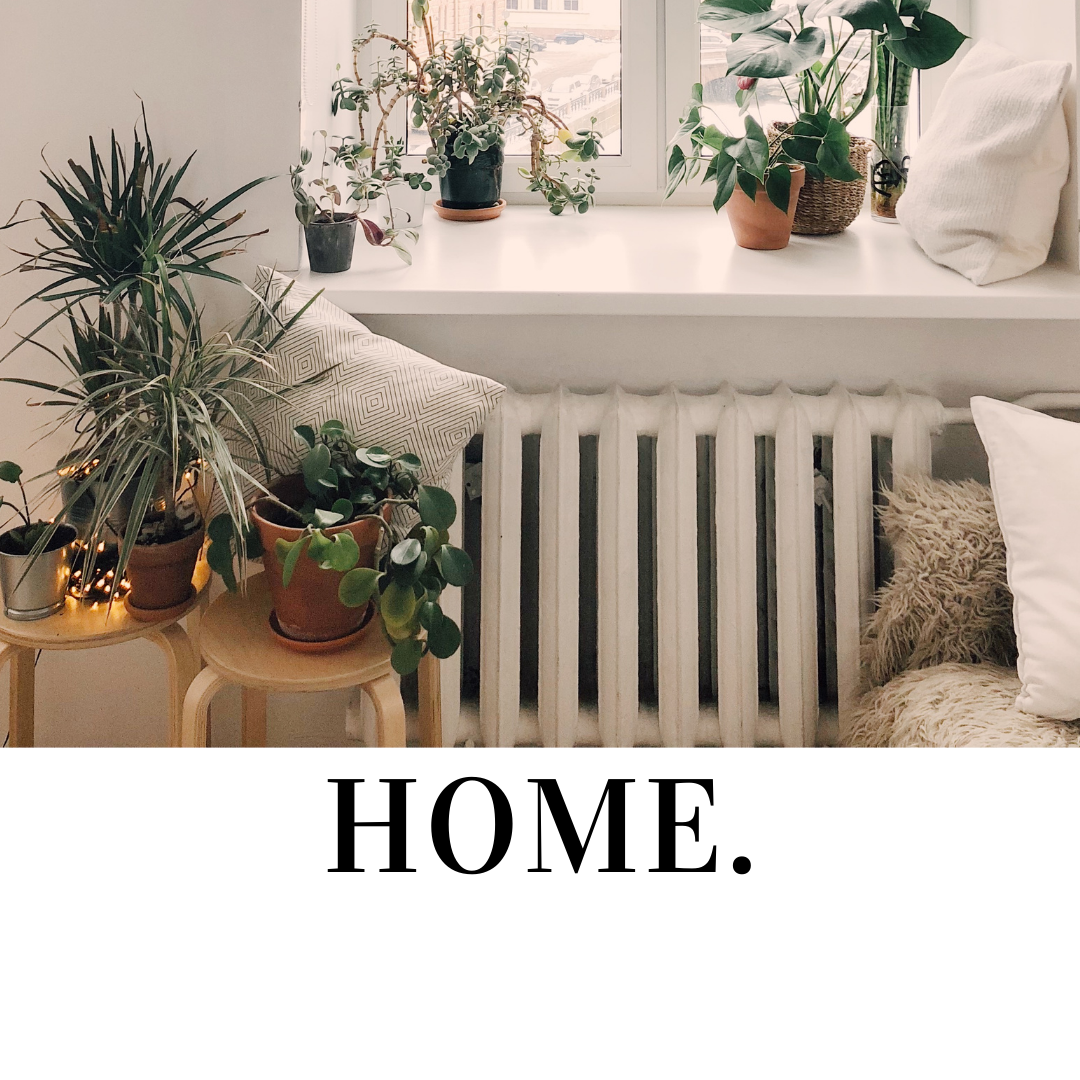 home (1).png