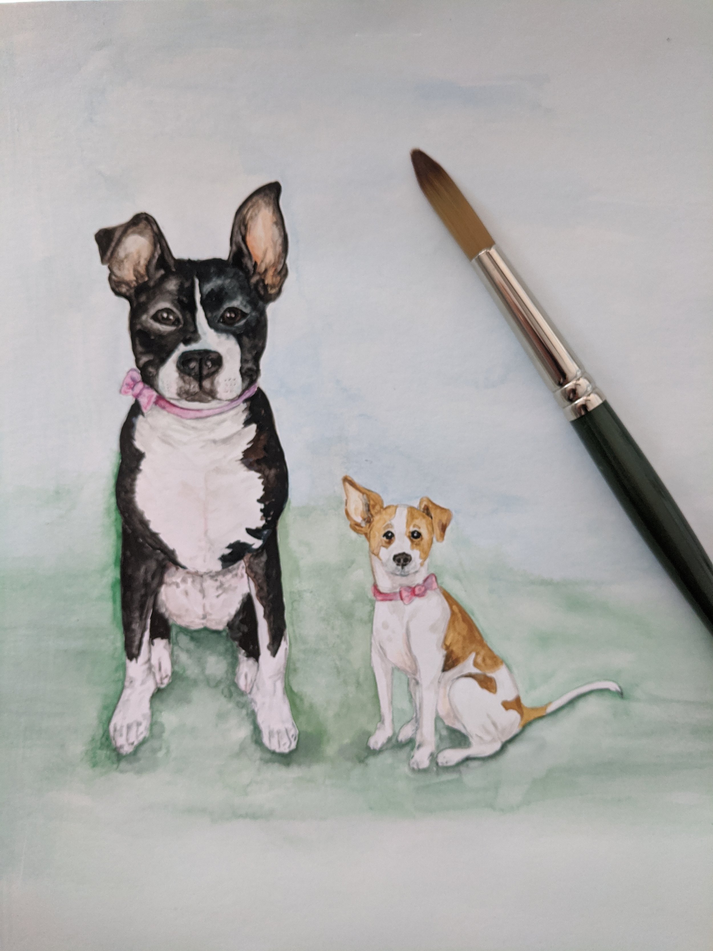 pet dog portrait