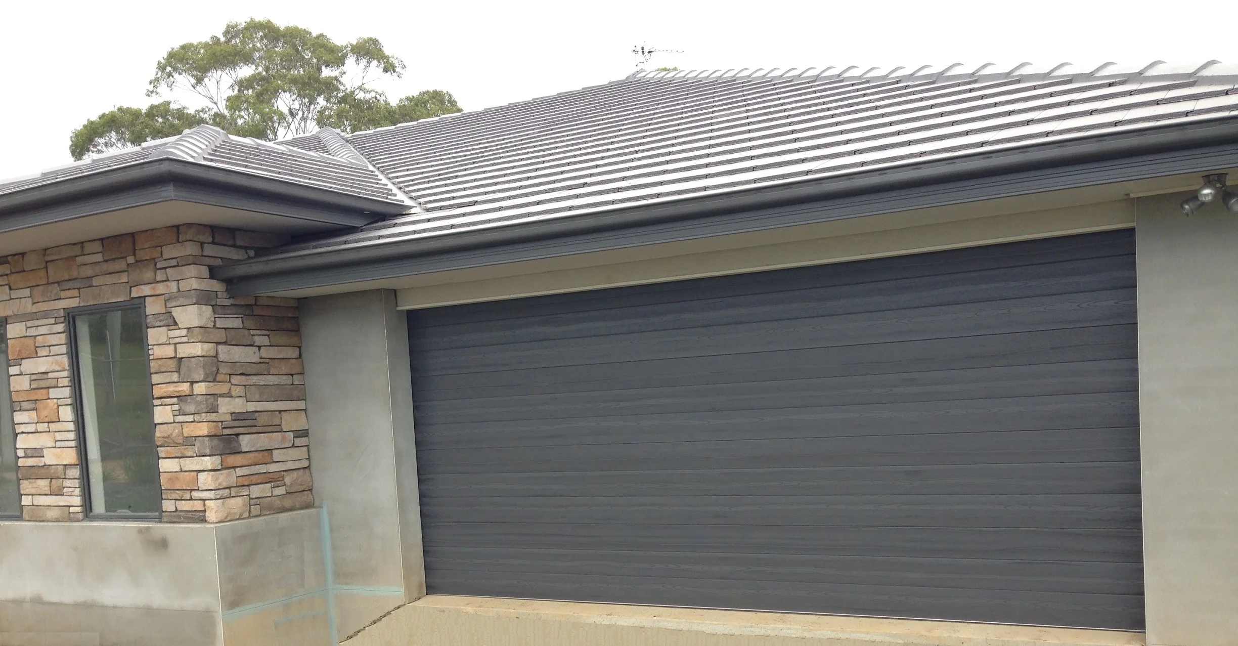 Panel-Glide native series 'storm' Sectional Door (one click on image to enlarge)