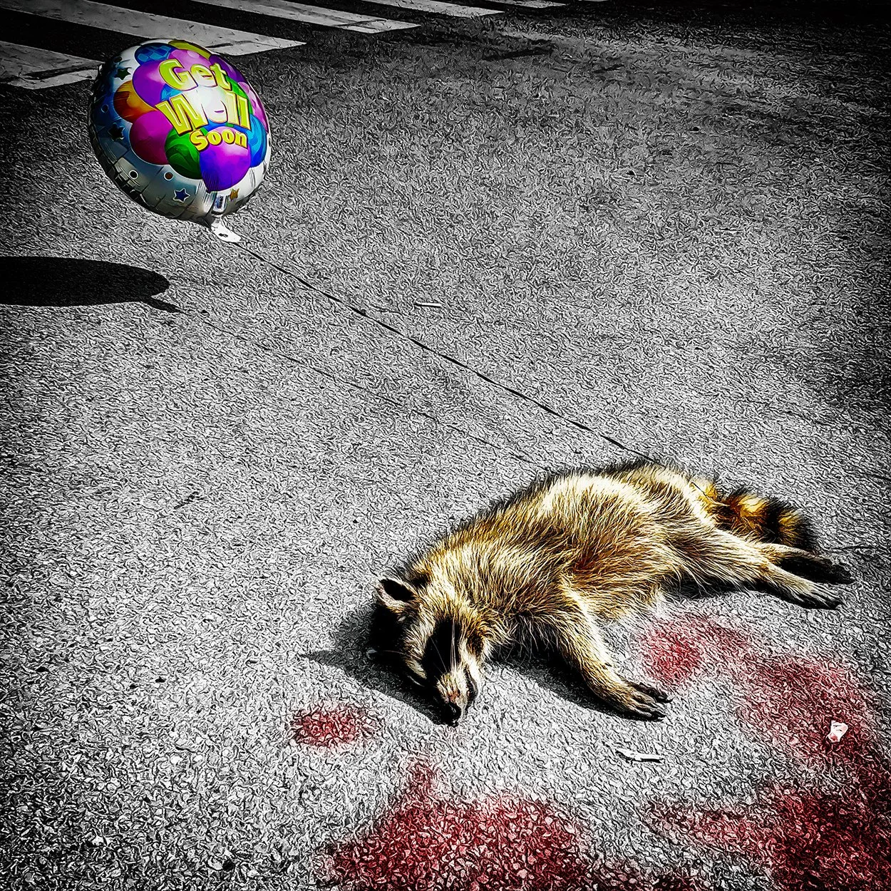 Get Well Soon Racoon2-72dpi.jpg