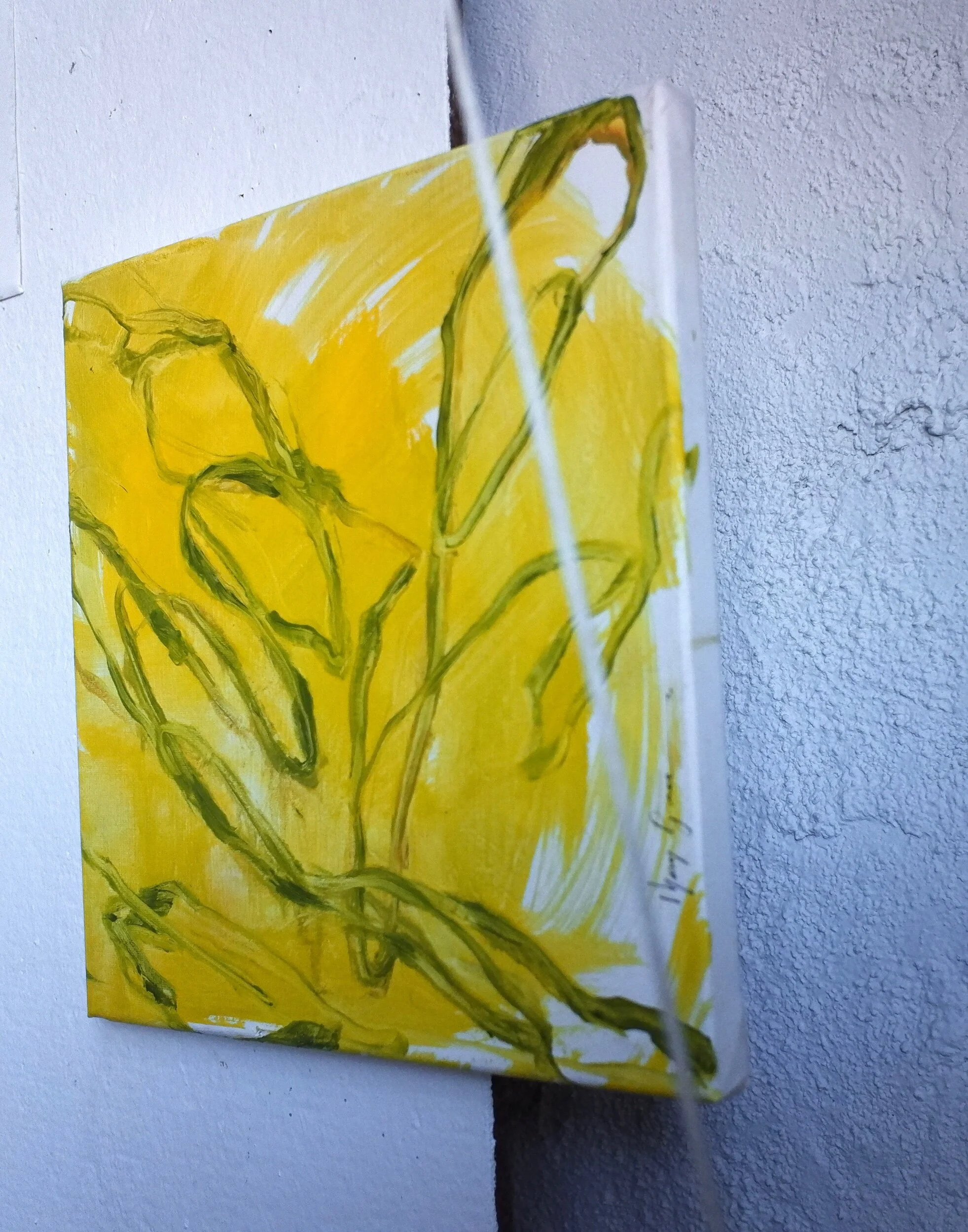 D7D4531C-A78F-43BF-85BC-BCC79E6BA1BC