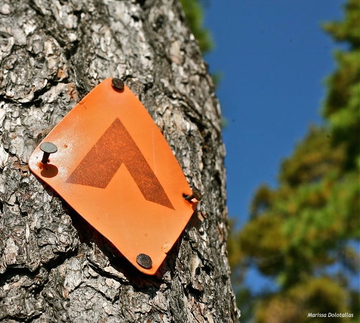 Campsite marker