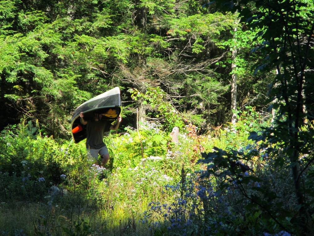 Portaging the canoe in the bush