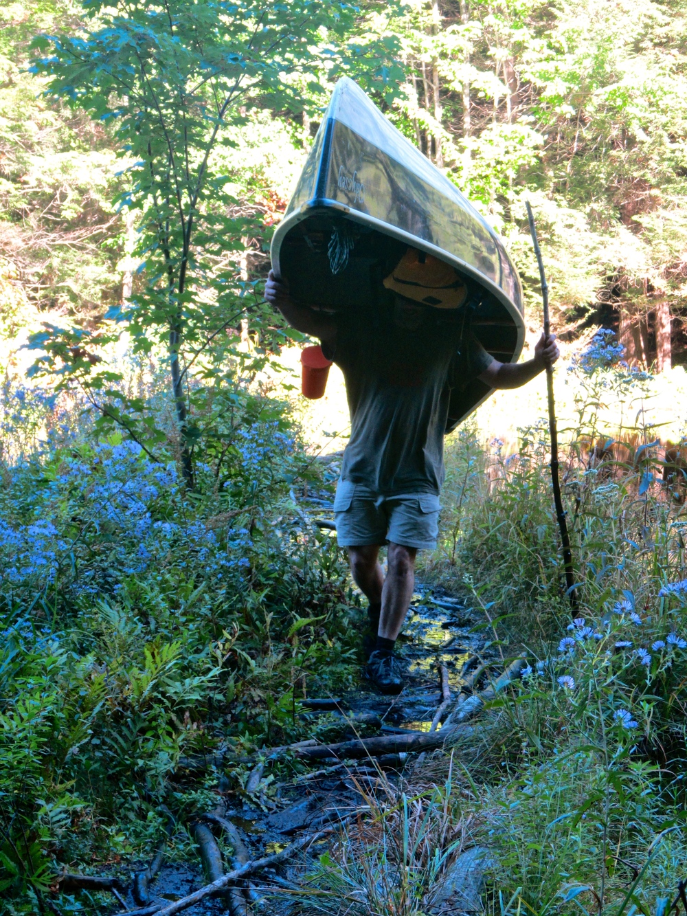 Portaging the canoe over muddy lowlands: Chris Scerri