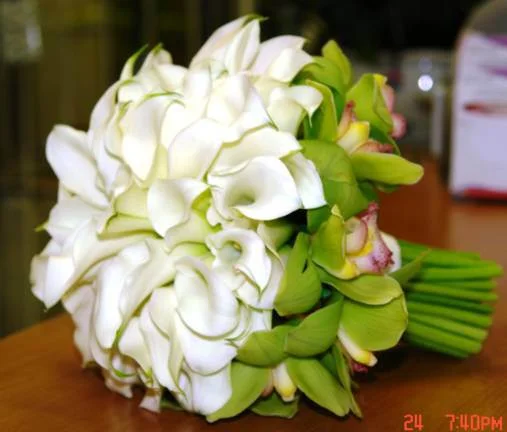 Client's picture