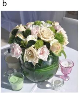 Client's picture