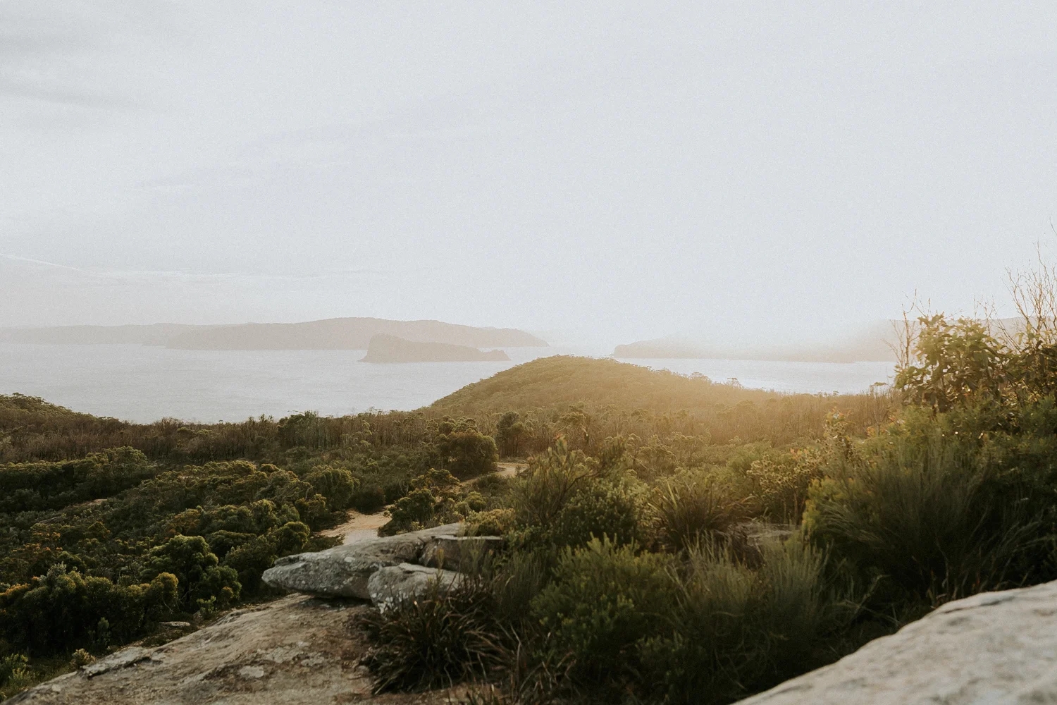 Brea + Ian -139.jpg