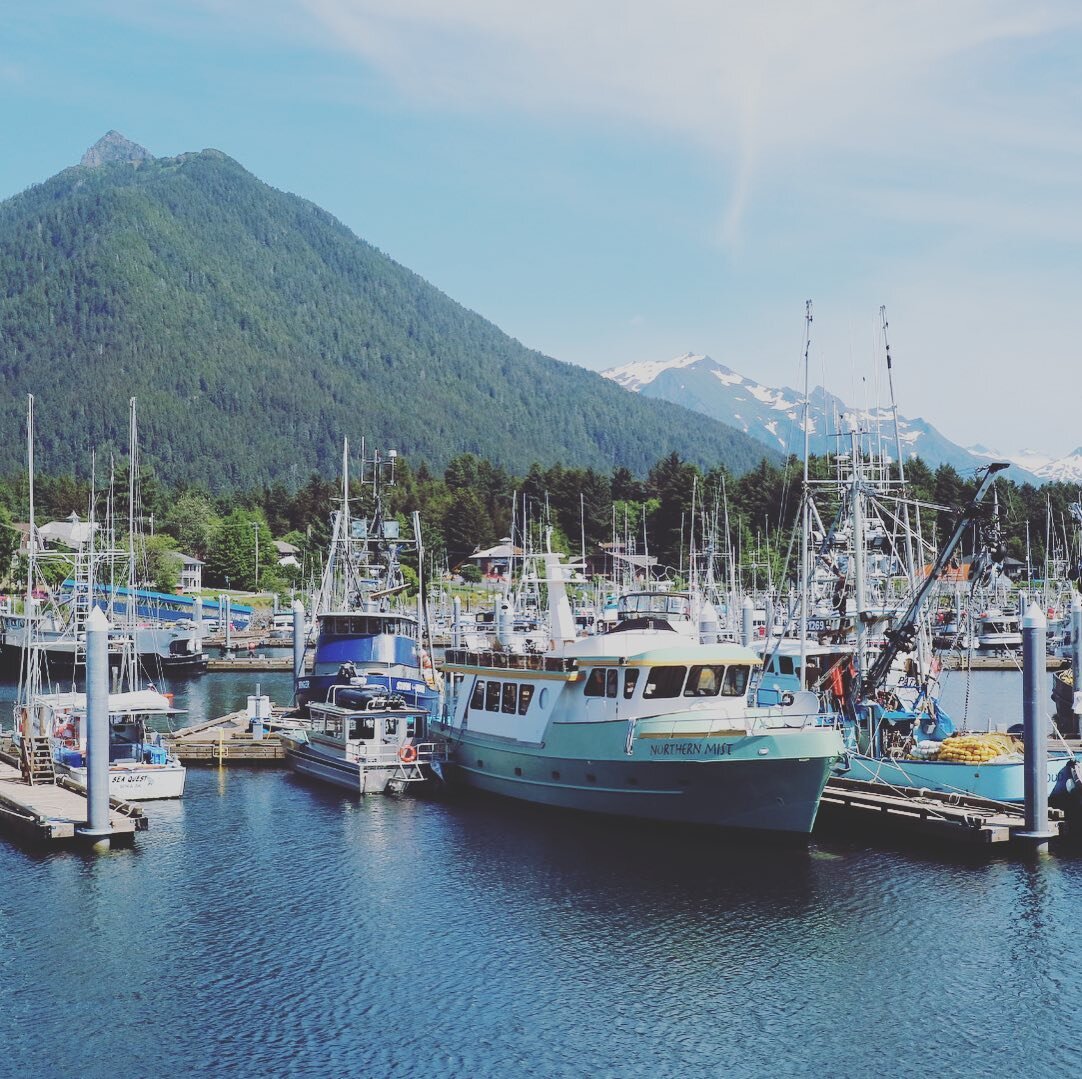 Sitka Series: Stunning Sitka. Thank you @fish.and.family for sharing the magic of the sea with our family. 2 King Salmon, 12 Coho, 1 Mega Halibut and a new obsession for Black Cod (Sablefish). Myriad memories forever. So much love. Until the next tid