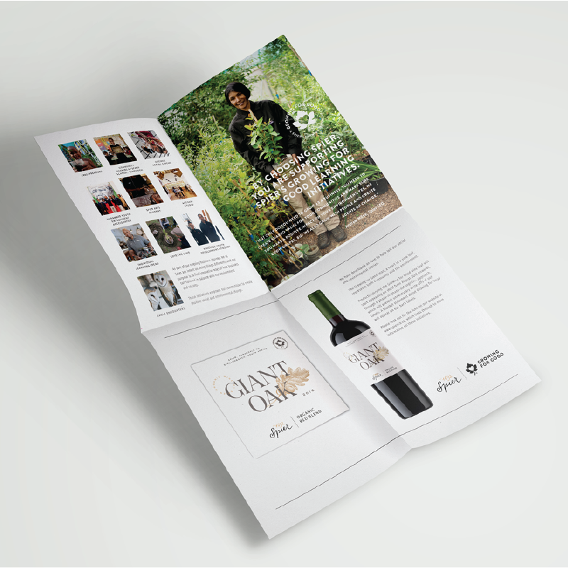 brochure.png