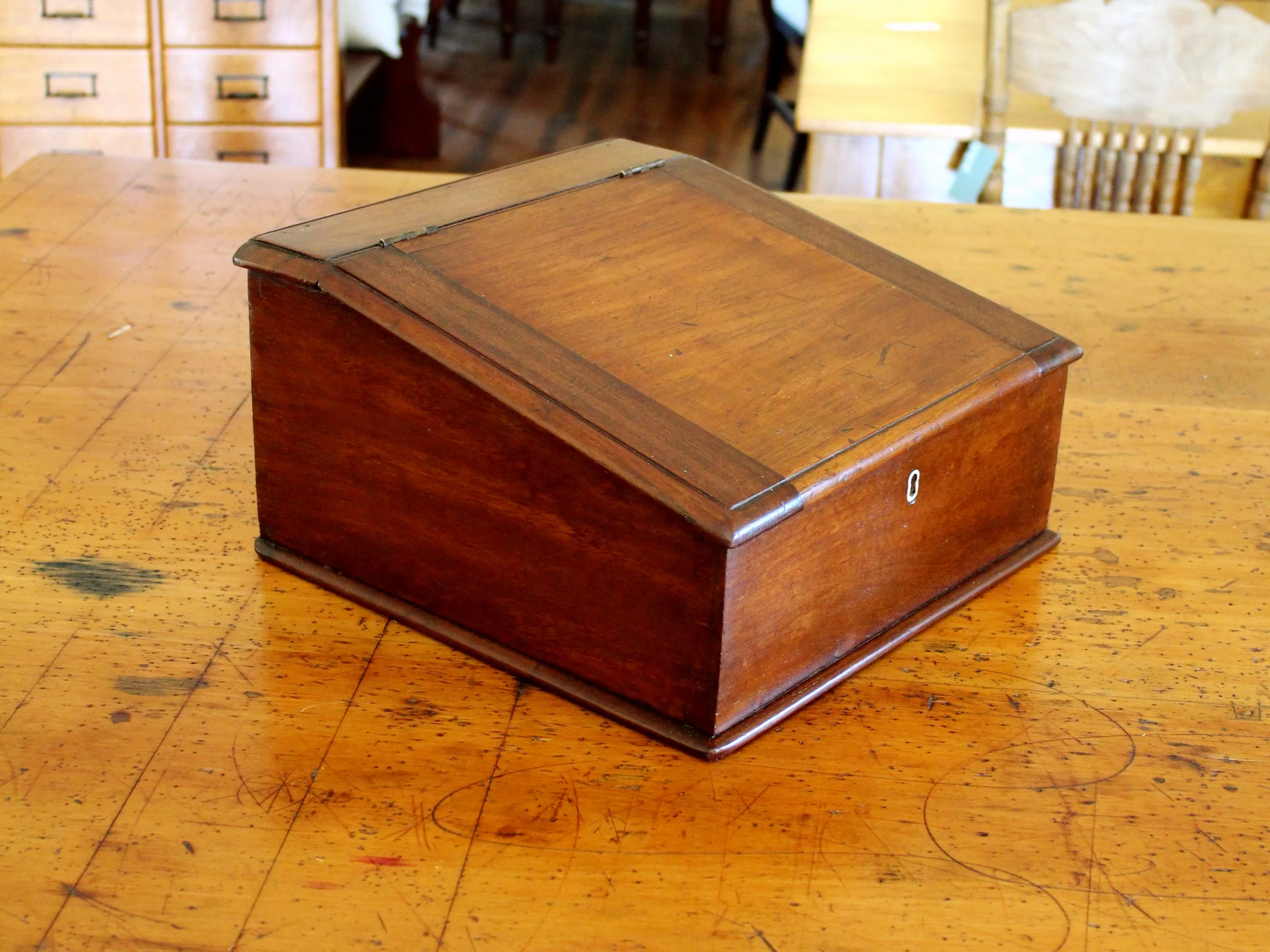 Australian Cedar Slope.jpg