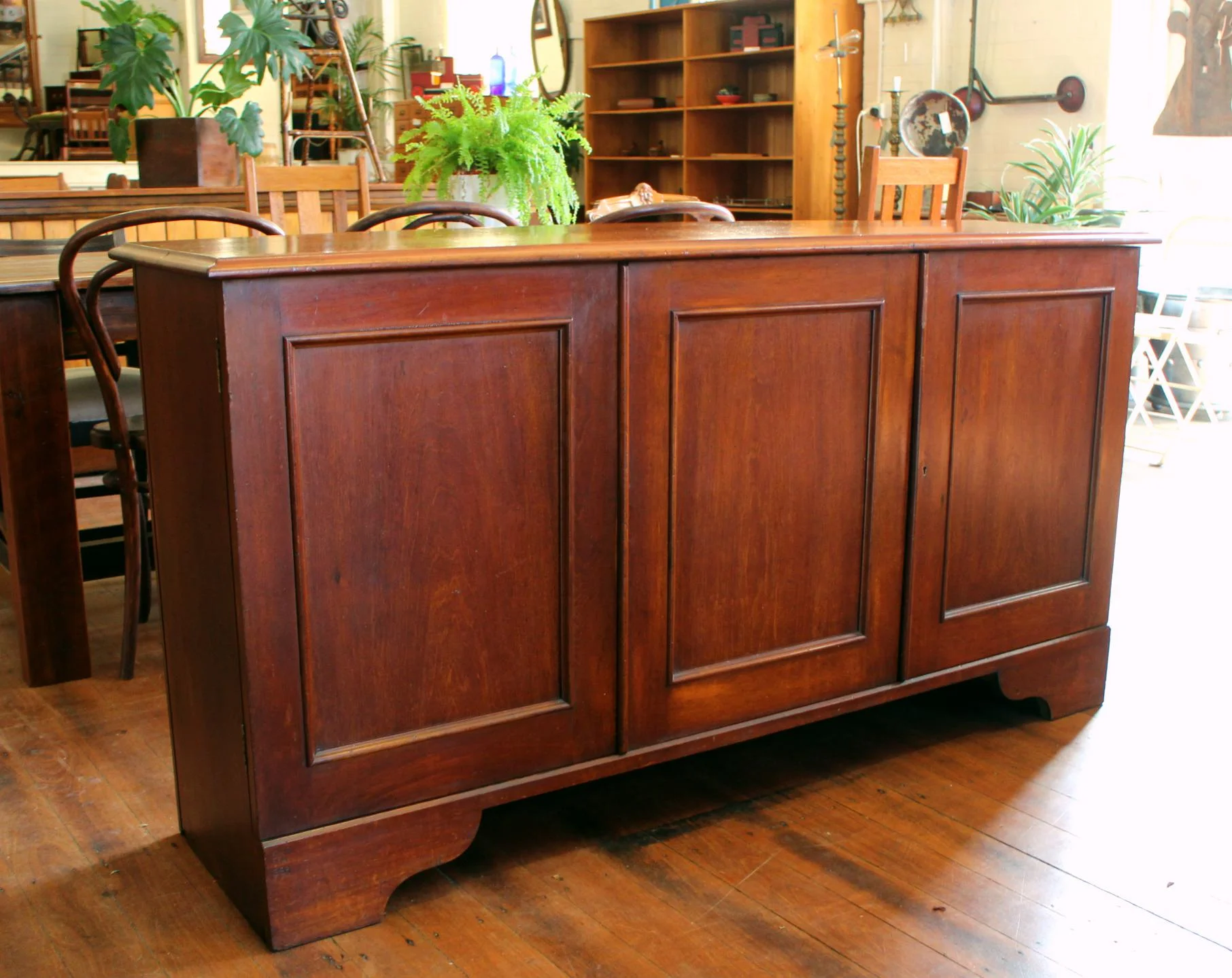 Australian Cedar Court Cupboard .jpg