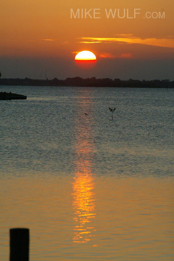 Wulf_Sunset_Portrait_012_resize.jpg