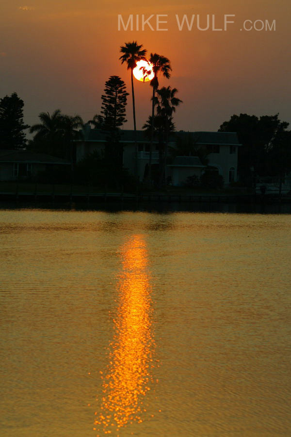 Wulf_Sunset_Portrait_019_resize.jpg