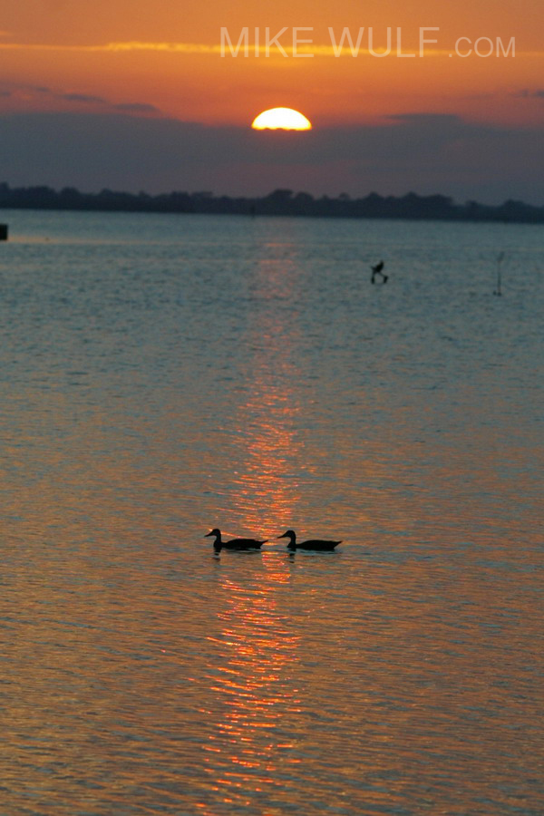 Wulf_Sunset_Portrait_025_resize.jpg
