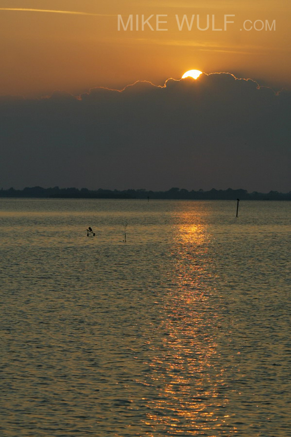 Wulf_Sunset_Portrait_029_resize.jpg