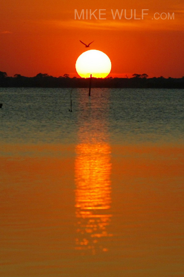Wulf_Sunset_Portrait_033_resize.jpg