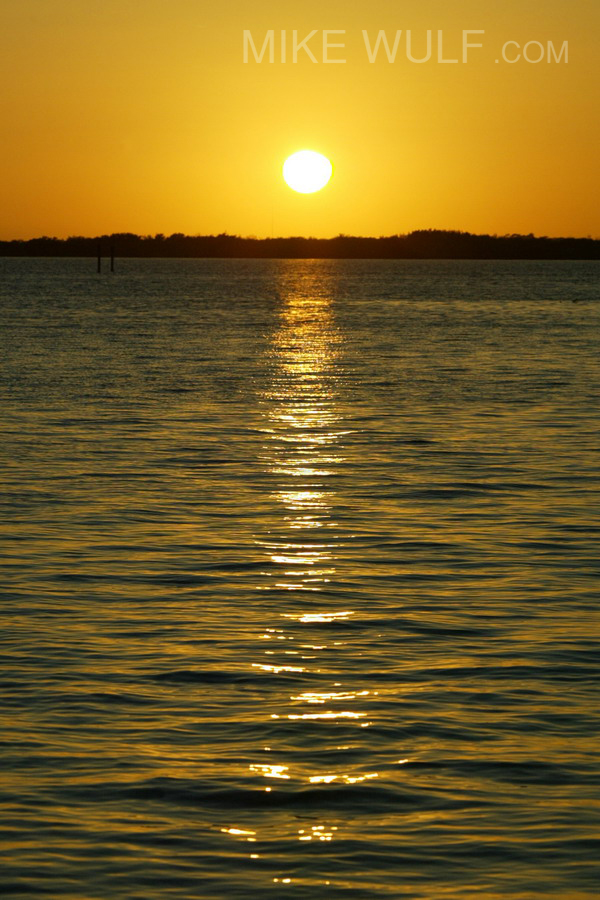 Wulf_Sunset_Portrait_041_resize.jpg