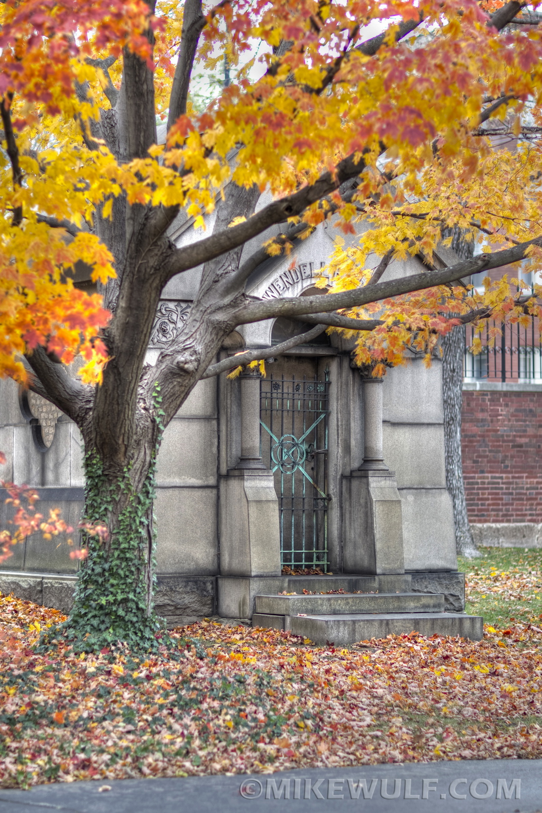 Wulf_2012GracelandFall16_resize.jpg