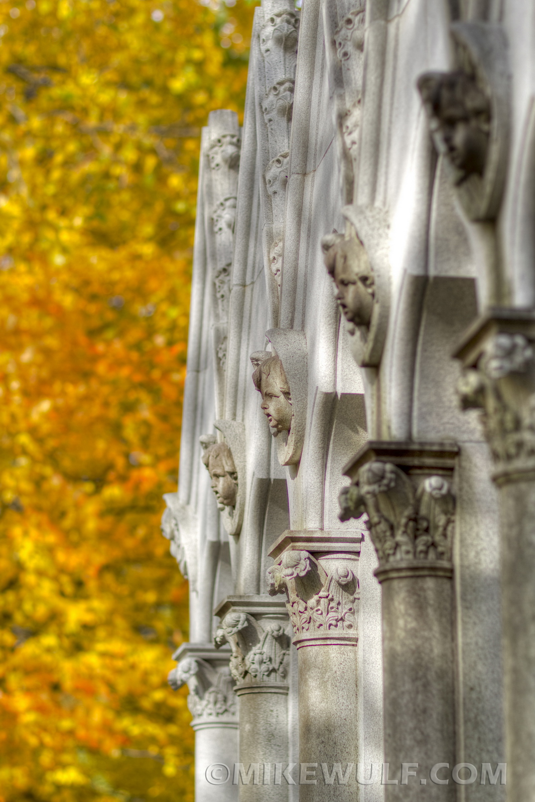 Wulf_2012GracelandFall08_resize.jpg