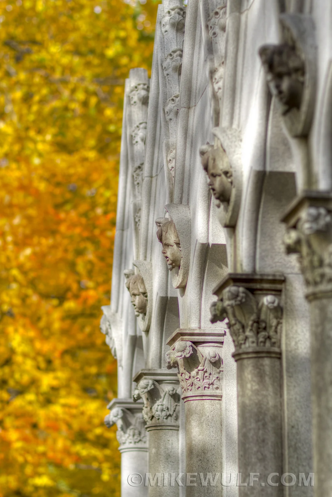 Wulf_2012GracelandFall08_resize.jpg