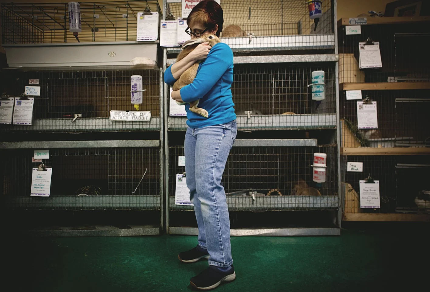  The founder of SaveABunny,&nbsp;Marcy Schaff, holds a rabbit named Marcy's Boyfriend, which she will tell you without hesitation is her favorite one.&nbsp;Between 300 and 400 rabbits are held every year by Schaff, and "I remember every single rabbit