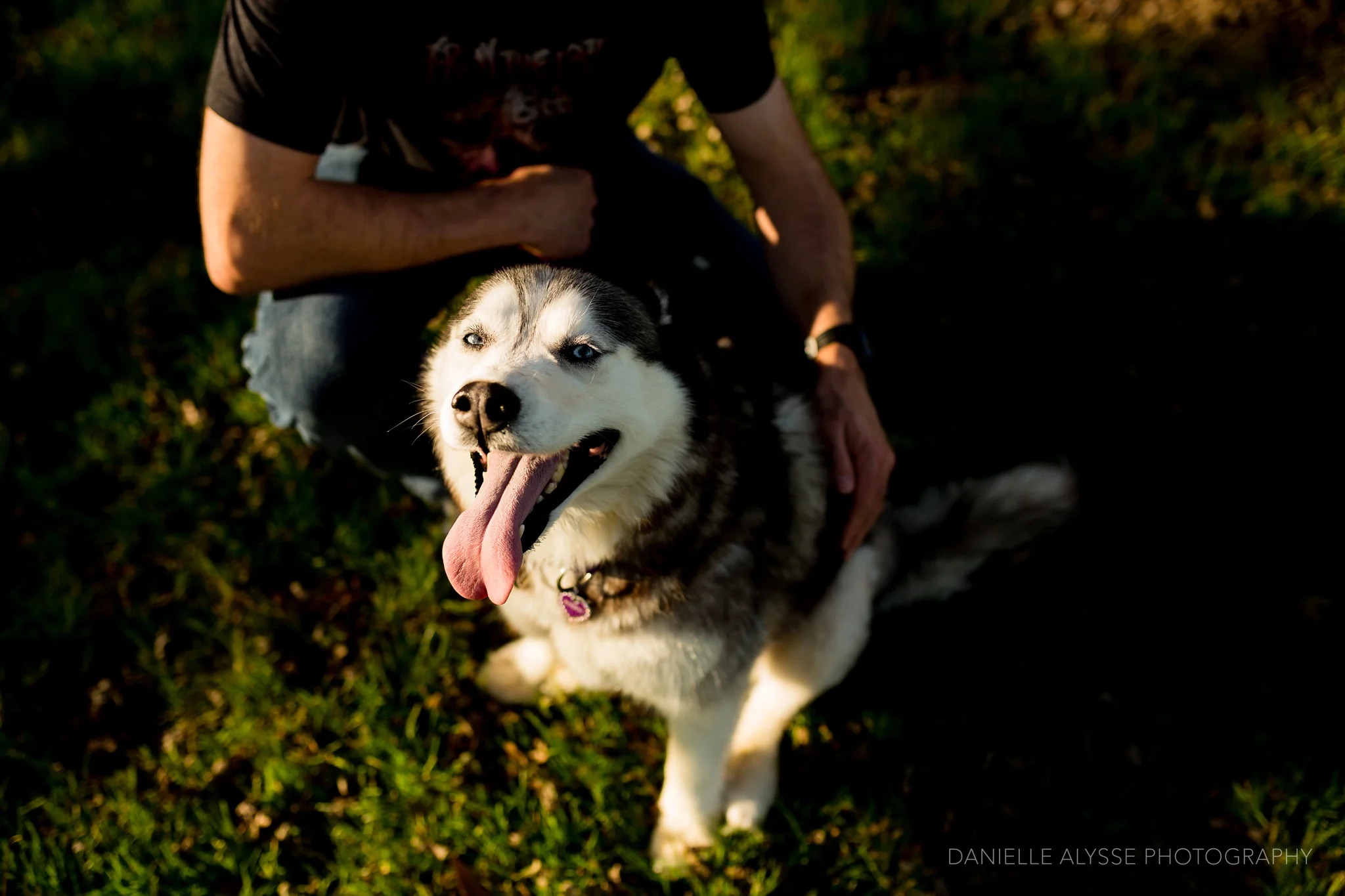180205_sspca_spca_willam_land_park_doggy_dash_california_danielle_alysse_photography_sacramento_pet_dog_photographer_1_WEB.jpg