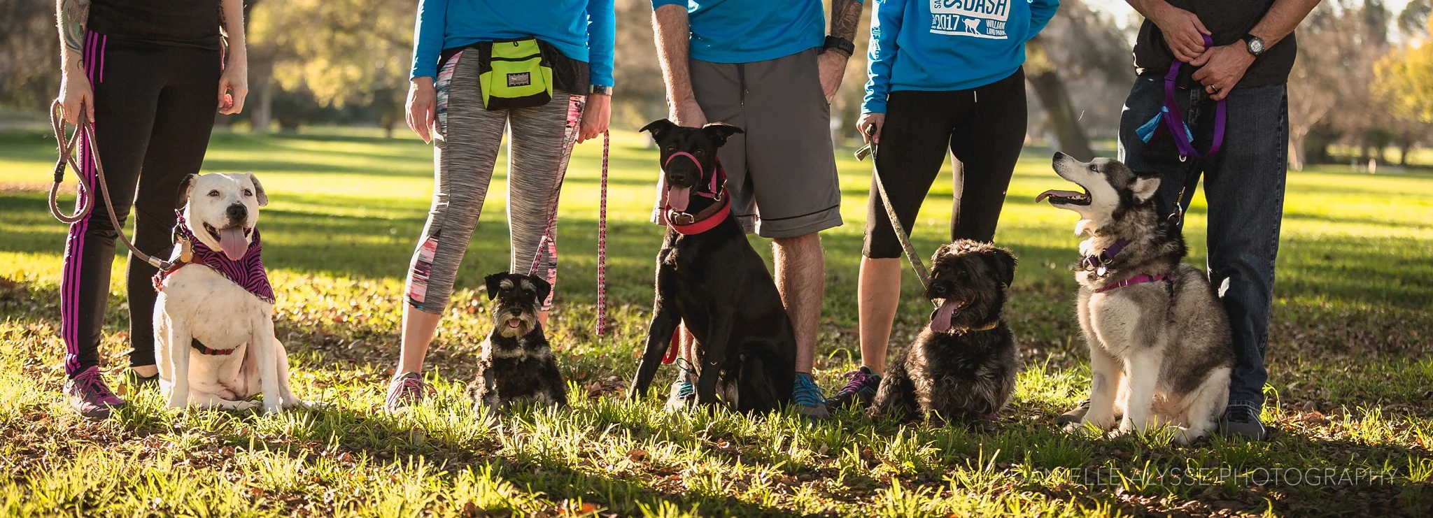 180205_sspca_spca_willam_land_park_doggy_dash_california_danielle_alysse_photography_sacramento_pet_dog_photographer_8_WEB.jpg