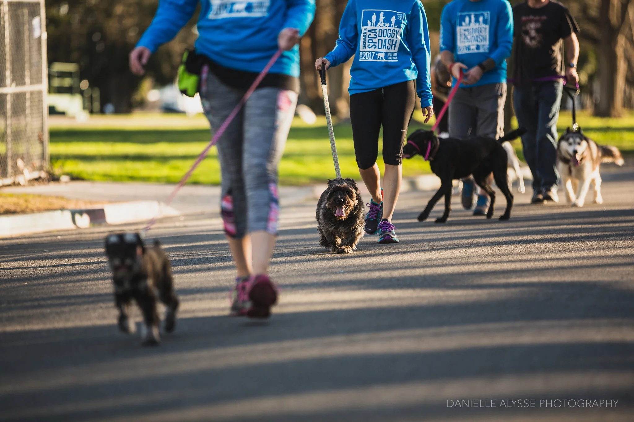 180205_sspca_spca_willam_land_park_doggy_dash_california_danielle_alysse_photography_sacramento_pet_dog_photographer_14_WEB.jpg