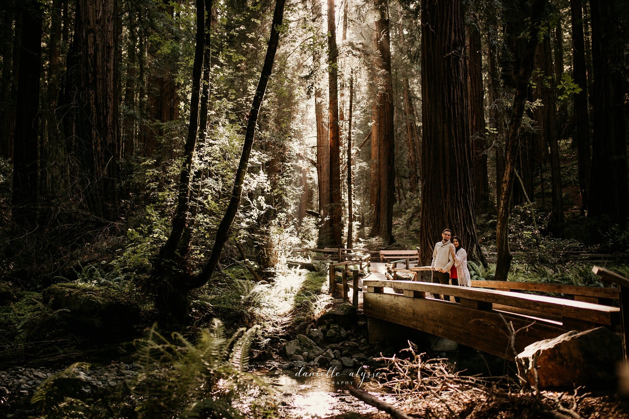 180503_engagement_bianca_muir_woods_mill_valley_danielle_alysse_photography_bay_area_photographer_blog_9_WEB.jpg