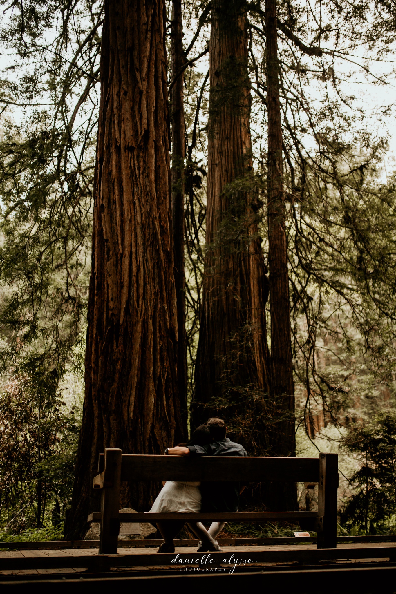 180503_engagement_bianca_muir_woods_mill_valley_danielle_alysse_photography_bay_area_photographer_blog_66_WEB.jpg