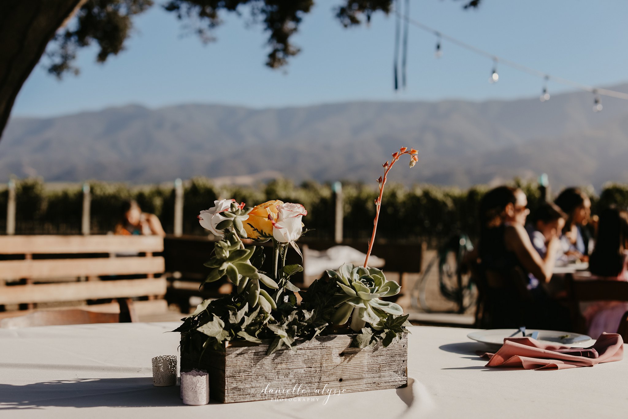 180630_wedding_lily_ryan_mission_soledad_california_danielle_alysse_photography_blog_842_WEB.jpg